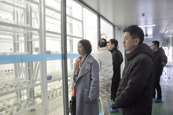 _DSC0027_副本 _DSC0027_副本.jpg