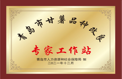 ��ʱ����-�й��ٷ���վ