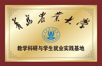 ��ʱ����-�й��ٷ���վ