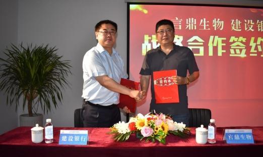 ����ͷ�� ����ɽ�������������������������ʢ������ǿǿ�Ž������»��