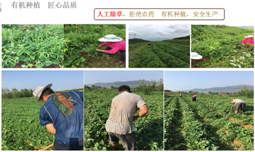 ��ɽ����ʱ������Ȫũҵ�Ƽ����޹�˾���������ٻ�ɽ��ʡ�����ִ�ũҵ�Ƽ���ģ����