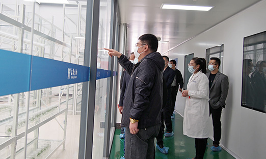 ���һ�ӭɽ���ƺ���̬�������Ŷ����Զ��³�һ��ݰ��ɽ����ʱ������������Ǣ̸