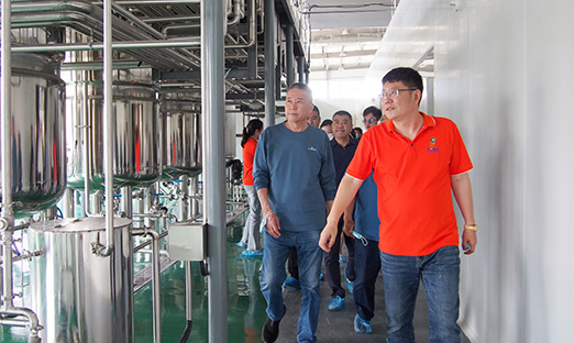 ��ʱ����ֲ�����Ը�ϸ�����ս�Ϊ��ī�ƾƹ�ҵ����