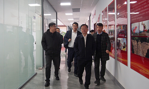 ȫ����Ұ�����������������ж���