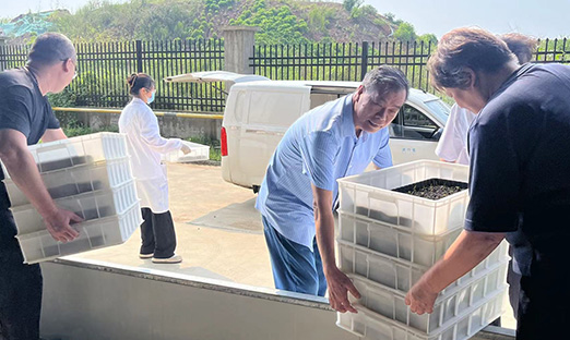 ���˹�����ҵ��������������ʱ��������������ʽת�����