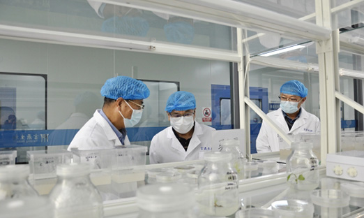 ���������������Ｏ����ϯ��ѧ��������һ�е�����ʱ���������������������������̺�����ʱ��